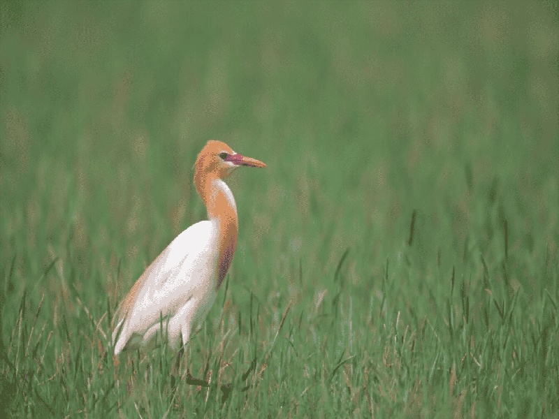深圳试管儿医院试管沉积速率标准试管中容易出血
